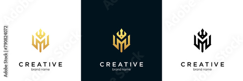Letter M Crown Elegant Logo Design, brand identity logos vector, modern logo, Logo Designs Vector Illustration Template