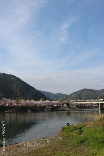 『錦帯橋と桜』 日本観光　山口県岩国  日本観光　Kintai Bridge  © YuAiru