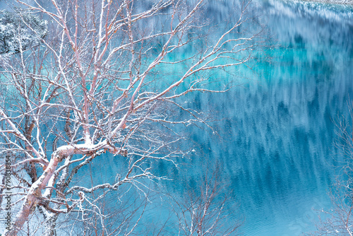 branch of tree with blue lake water nature background