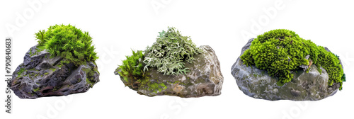 set of moss-covered rocks, illustrating nature’s artistry in humid environments, isolated on transparent background