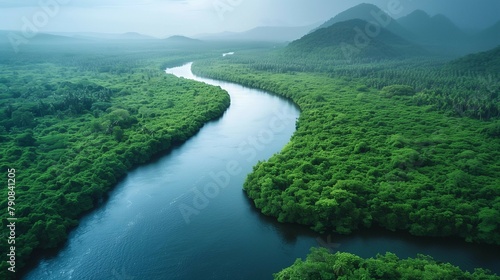 Nature s Majesty  Aerial View of Deep Blue River in Tropical Jungle  generative ai