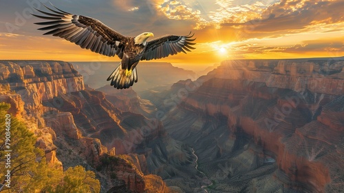 Graceful Eagle Soaring Over Vast Landscape, generative ai