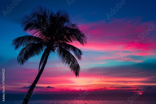 Sunset over the ocean with a palm tree in the foreground