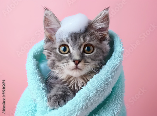 A charming gray kitten with wide, expressive eyes is cozily wrapped in a fluffy blue towel, giving the appearance of just having had a bath. The kitten has a dollop of white, sudsy foam on its head.