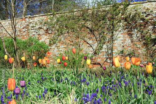 flowers in a walled garden border