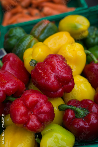 closeup of rain drops on various colors of pepper at the market © pixarno