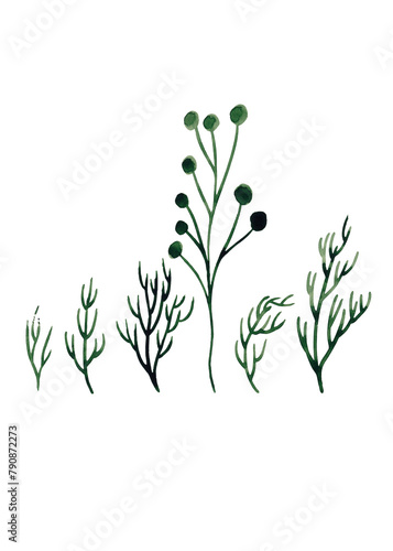 Clipart with green branches. Decoration organic clipart. Isolated watercolor illustration for your design. Ideal for floral designs  patterns  cards. Art poster