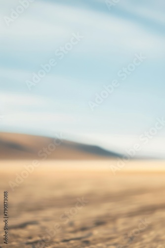 Blurred desert background. Copy space