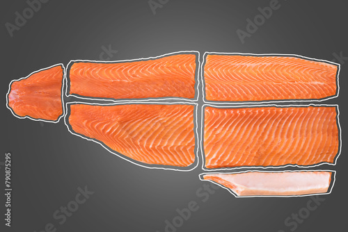 Different salmon pieces and slices. prepare for sushi sashimi making. and attach clipping path.