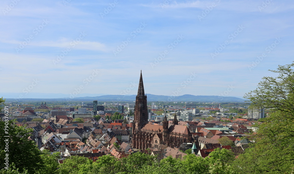 Blick aufs Freiburger Münster im Frühling