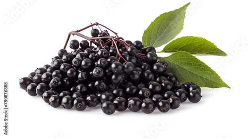 Elderberry,generative ai