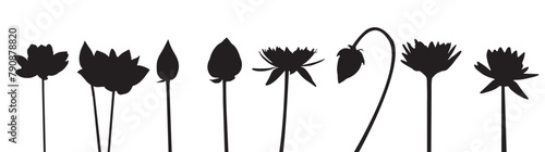 Lotus Flower Vector For Print, Lotus Flower Clipart, Lotus FlowerIllustration  vector  EPS 10