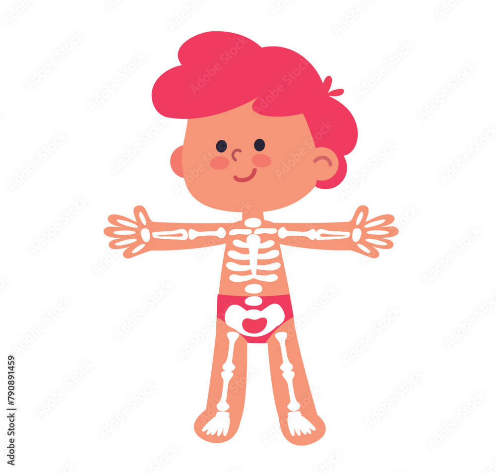 My body, educational anatomy body organ for kids. Structure of the