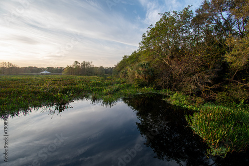 Constructed wetlands of Green Cay Nature Center in Boynton Beach  Florida at sunrise on calm winter morning.
