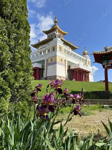 The territory of the Buddhist temple Golden abode of Buddha Shakyamuni. Elista, Republic of Kalmykia, Russia