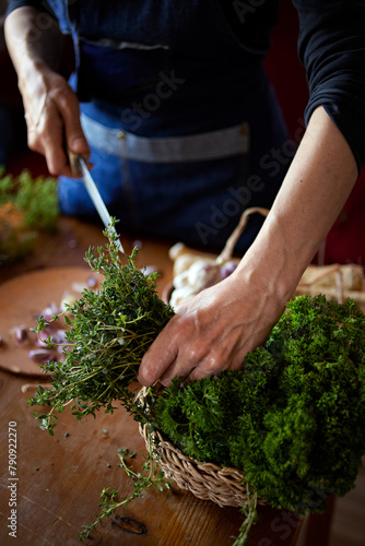Hands holding fresh herbs, thyme while preparing a meal, close up view