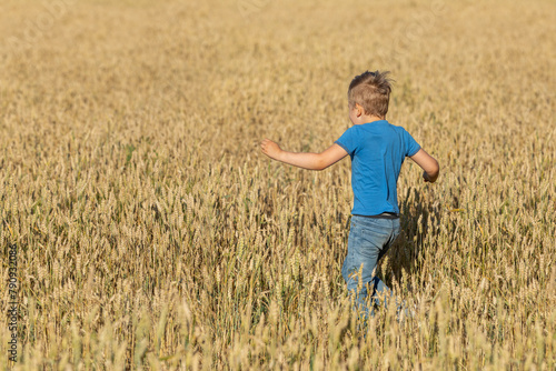 A little boy in a blue shirt is photographed from behind in a large field of golden rye