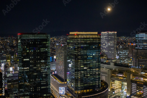 View of the Osaka skyline at night with moon © mschauer