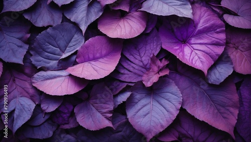 Nature s Palette  Abstract Leaf Texture Background in Rich Purple and Violet Hues.