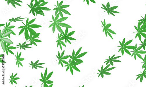 Many green cannabis leaves flying isolated on white background. 3d rendering 