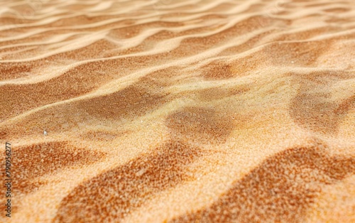 Golden Desert Sand Dunes Texture