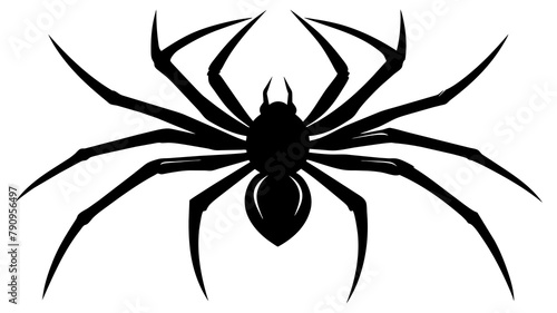 spider silhouette vector illustration