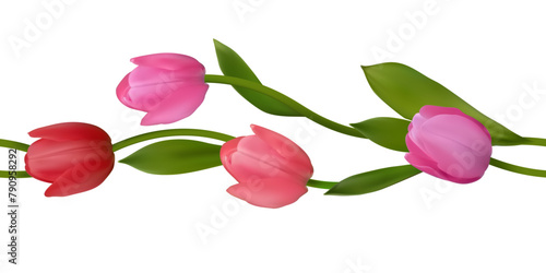 Spring flowers. Beautiful tulips. Floral background. Buds. Pink. Red. Green leaves. Beautiful vector illustration of red and pink tulips on a white background. Border. Seamless pattern. Bouquet.
