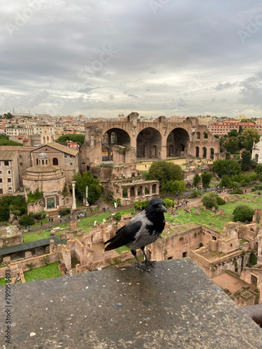 Rome / vestige des ruines romaine /italie