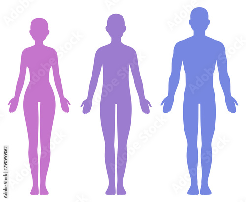Male, female and unisex body silhouette