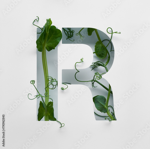 The capital letter R is decorated with a young green pea sprout on a white background.