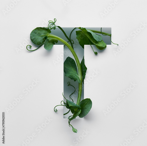 The capital letter T is decorated with a young green pea sprout on a white background.