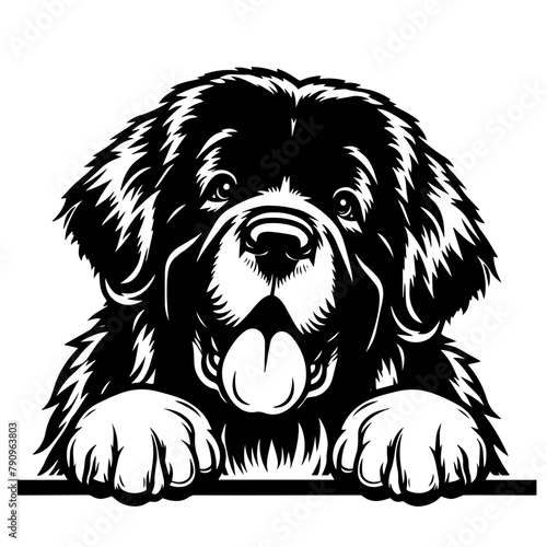 Peeking Dog Vector Illustration