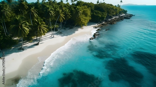 Aerial view of beautiful tropical beach with coconut palm trees at Seychelles