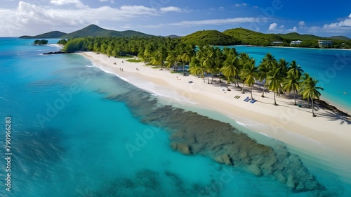 Panoramic aerial view of a tropical beach with palm trees and turquoise water