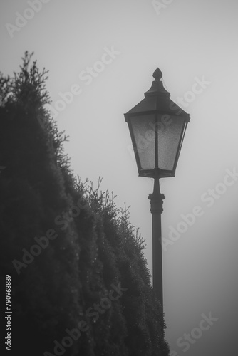 Monochrome photo of a lamp post in a foggy atmosphere