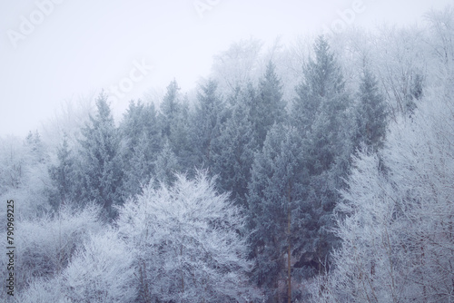 Aerial view of snow covered trees. Forest on the frozen hillside on a cold winter day. Abstract nature, weather background concept.