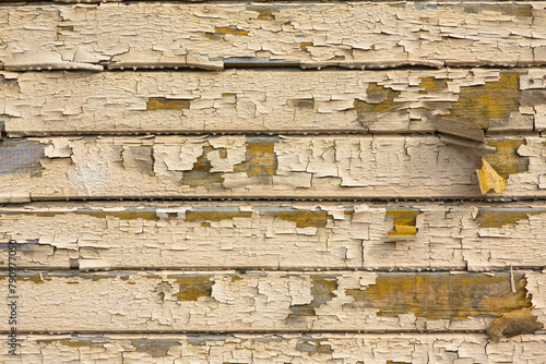 Fragment of the wall of an old wooden building made of horizontal boards. The layer of yellow paint was destroyed and partially crumbled. There are rags hanging. Background. Texture. Grunge.