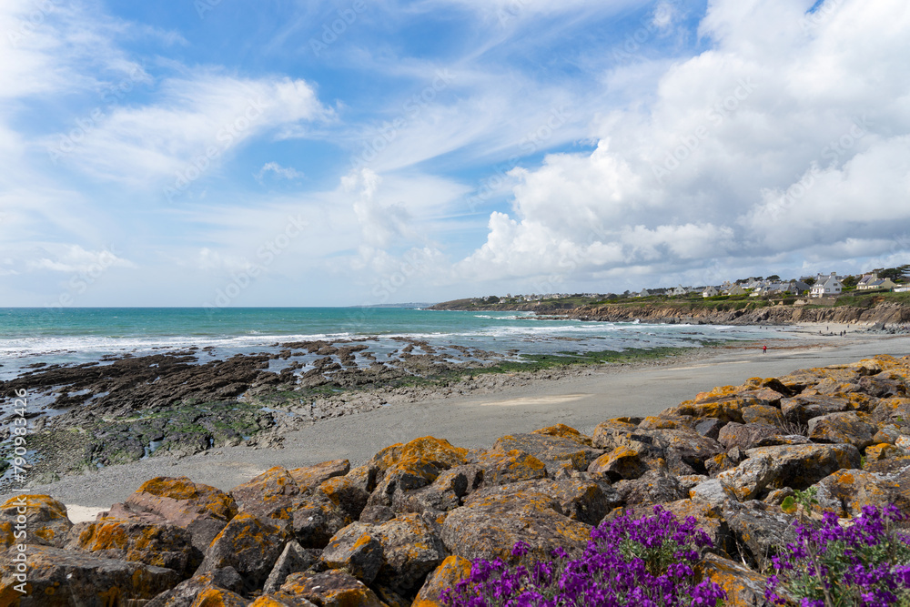 Sur le littoral atlantique de la baie d'Audierne, ciel bleu, nuages blancs, fleurs violettes sur les rochers, sillons rocheux, écume de mer : une scène envoûtante. Sur le littoral atlantique de la baie d'Audierne, ciel bleu, nuages blancs, fleurs violettes sur les rochers, sillons rocheux, écume de mer : une scène envoûtante.