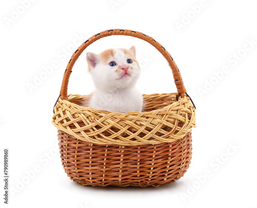 Little  kitten in the basket.