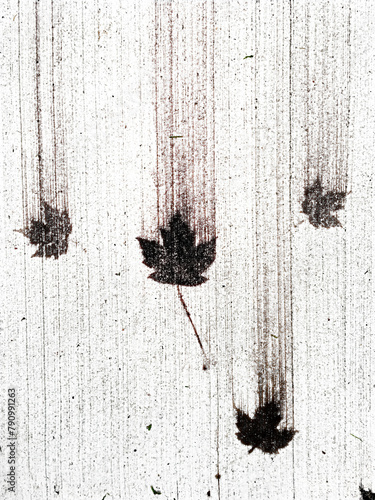 streaking falling Canadian maple leaves