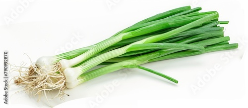 Green spring onion against a white backdrop