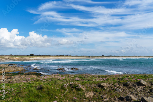 Wallpaper Mural Plage de Pors Carn, Finistère sud, Bretagne : sous un soleil éclatant, des arméries maritimes en fleurs roses égayent les herbes vertes en premier plan. Torontodigital.ca