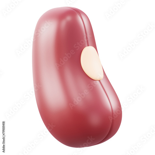 Vászonkép 3D rendered shiny red kidney bean with realistic details