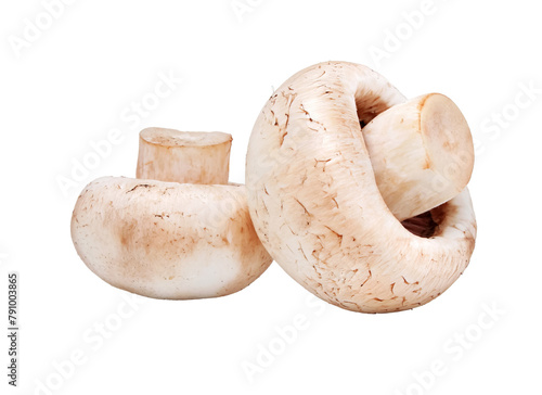 Ripe mushrooms champignons. Organic food vegetables isolated. PNG.