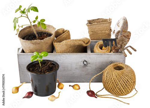Gardening and flowering tools for organic farming and natural food growing. isolated PNG © Yasonya