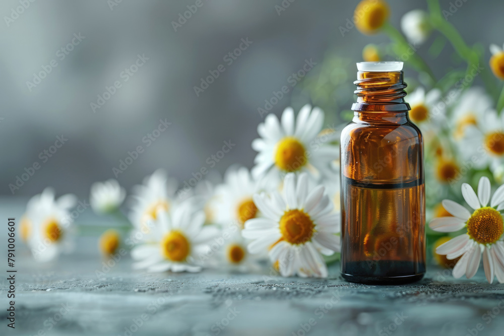 bottle of chamomile oil in daisies, natural cosmetics bottle of chamomile oil in daisies, natural cosmetics