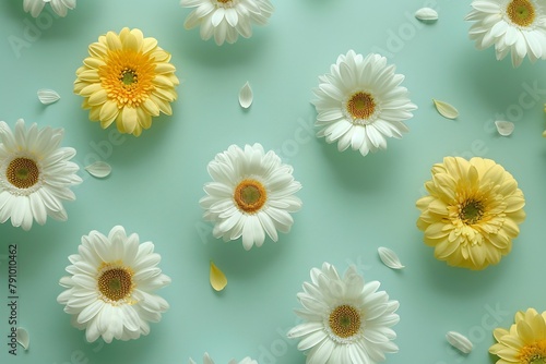 Gerbera Daisies  Background