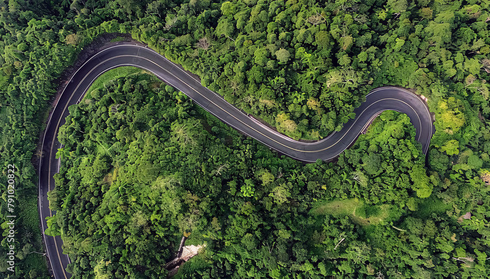Aerial view of winding road in the forest. Top view.