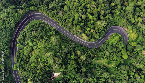 Aerial view of winding road in the forest. Top view. © korkut82