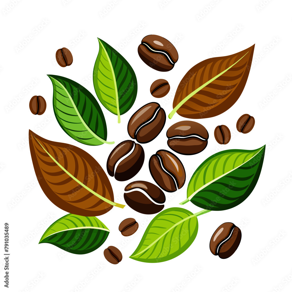 coffee grains seeds with green leaves on white background coffee grains seeds with green leaves on white background